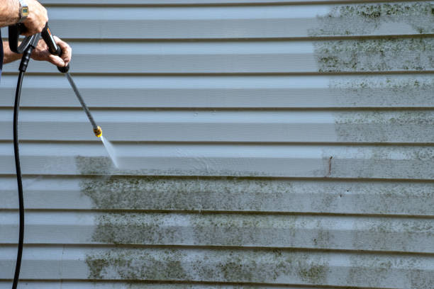 Best Shed Removal  in Maytown, PA